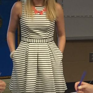 The Limited(original)-white and navy stripes